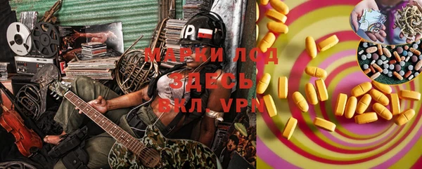 прущие грибы Сафоново