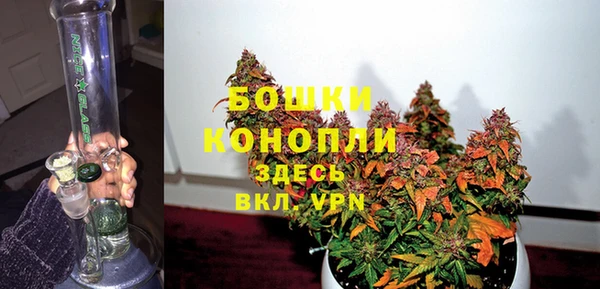 твердый Абаза
