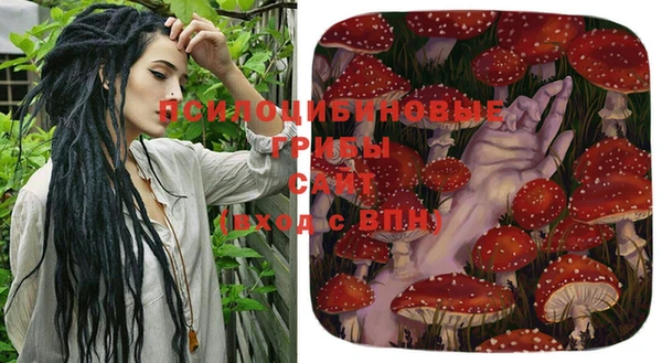 твердый Абаза