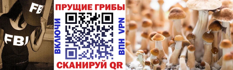 Галлюциногенные грибы мухоморы купить цена Каменск-Шахтинский