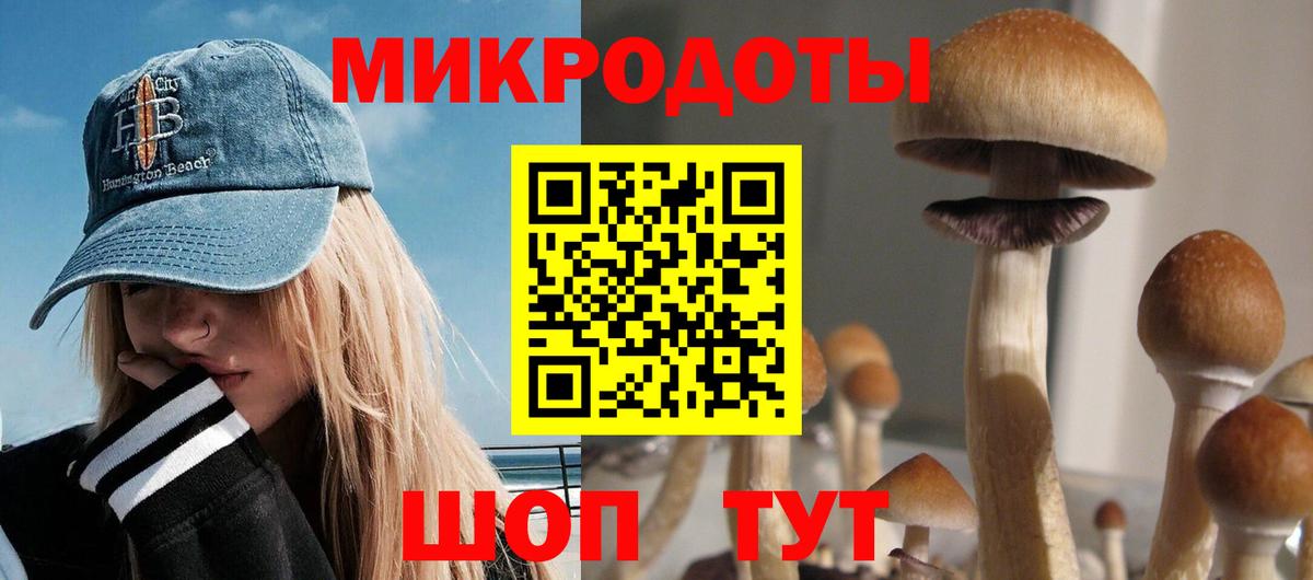 как найти   Вход с VPN  Каменск-Шахтинский  Галлюциногенные грибы GOLDEN TEACHER 