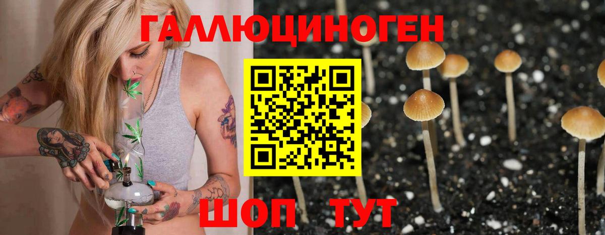 Галлюциногенные грибы Cubensis Каменск-Шахтинский